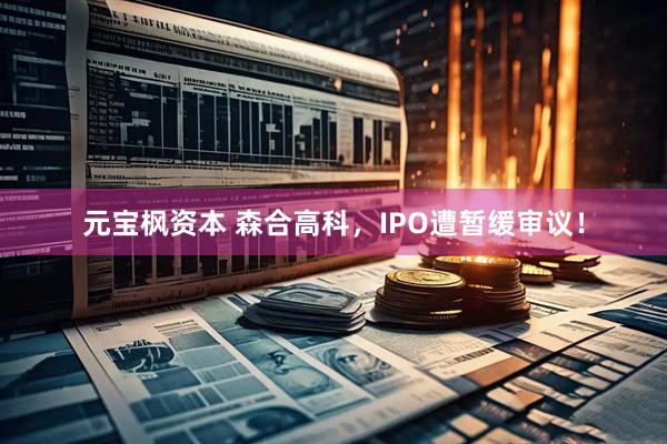 元宝枫资本 森合高科，IPO遭暂缓审议！